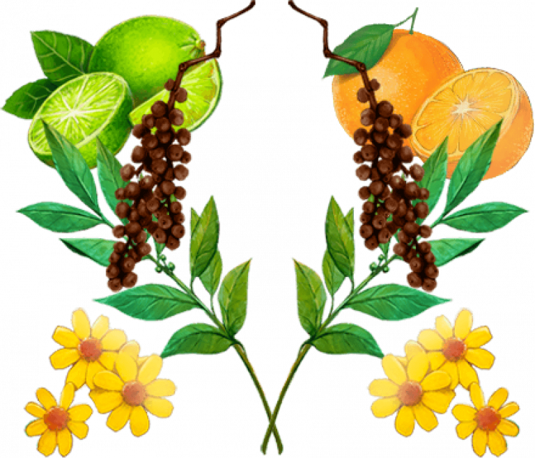 Xibal Gin & Tonic Xibal Gin