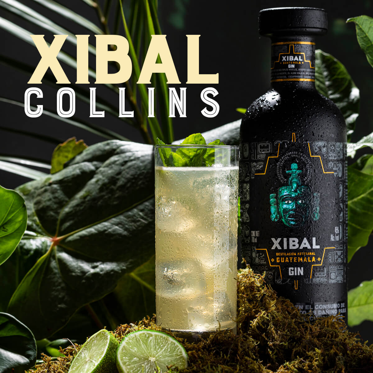 Xibal Collins Xibal Gin